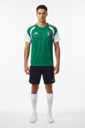 Italy 2026 Training - Green Jersey S-XXL | album | XUE QING JERSEYS SHOP YUPOO | Store