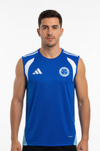 Cruzeiro 26_27 Training - Blue Vest Jersey S-4XL | album | XUE QING JERSEYS SHOP YUPOO | Store