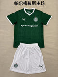 25/26 Palmeiras Home [Adults # Kids] | album | High-Quality Soccer jerseys, NBA jerseys | Supplier Product Catalog