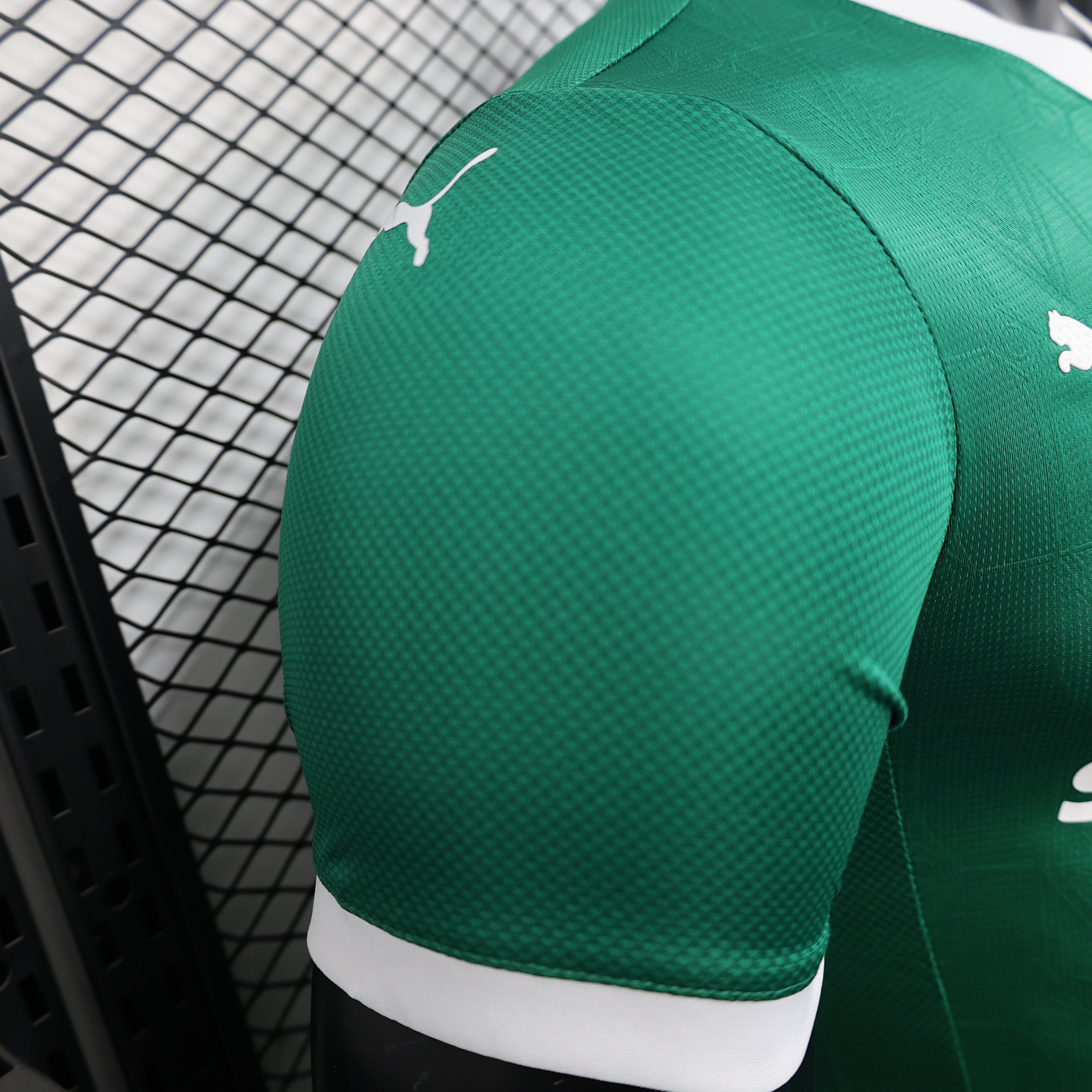 25/26 Palmeiras Home Player Edition S-XXL | album | High-Quality Soccer jerseys, NBA jerseys | Supplier Product Catalog