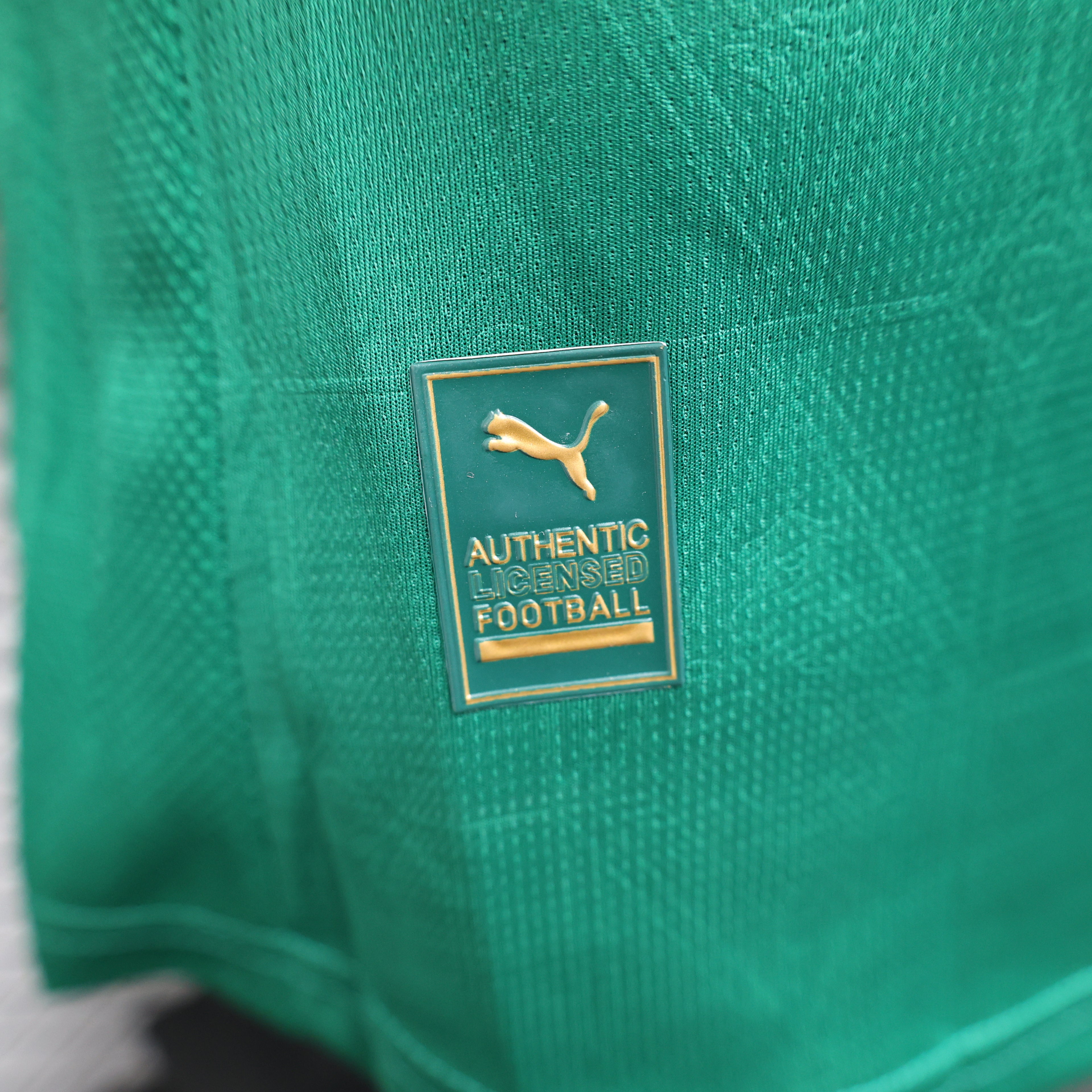 25/26 Palmeiras Home Player Edition S-XXL | album | High-Quality Soccer jerseys, NBA jerseys | Supplier Product Catalog