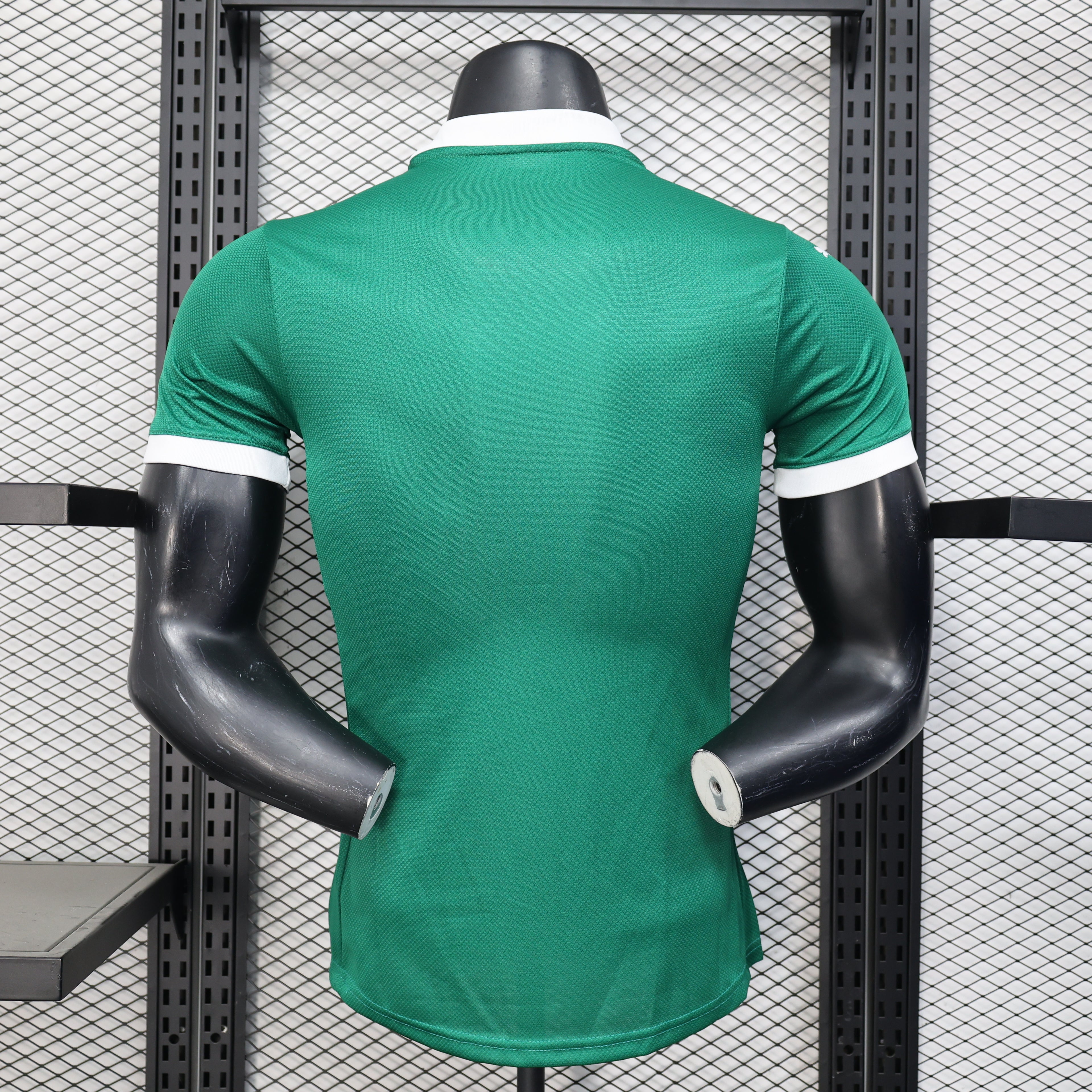 25/26 Palmeiras Home Player Edition S-XXL | album | High-Quality Soccer jerseys, NBA jerseys | Supplier Product Catalog
